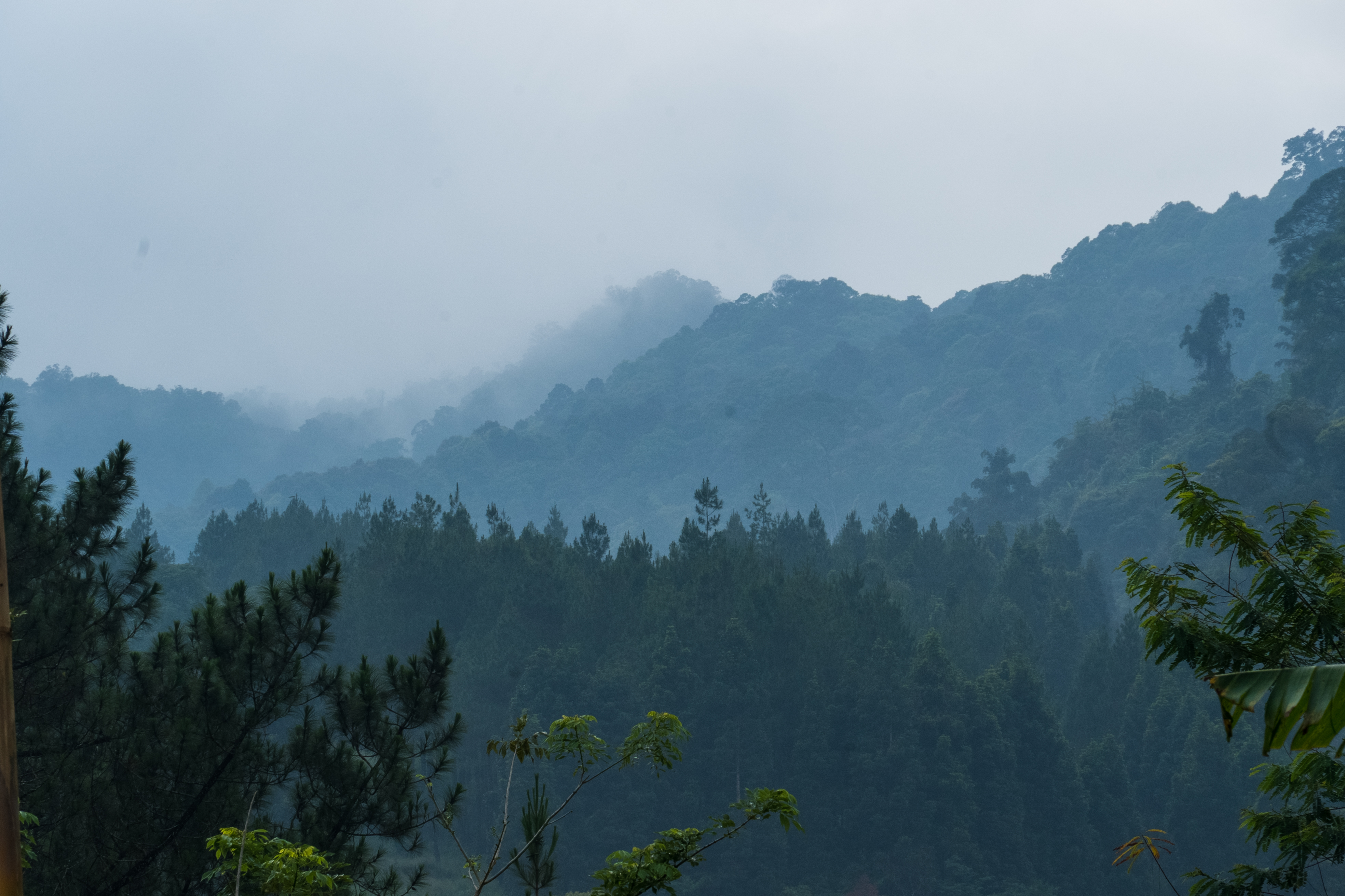 Foto matahari terbit di atas punggung bukit hasil reboisasi